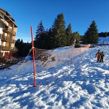 Charmant Studio Rez-De-Neige Chabanon Selonnet Exteriör bild